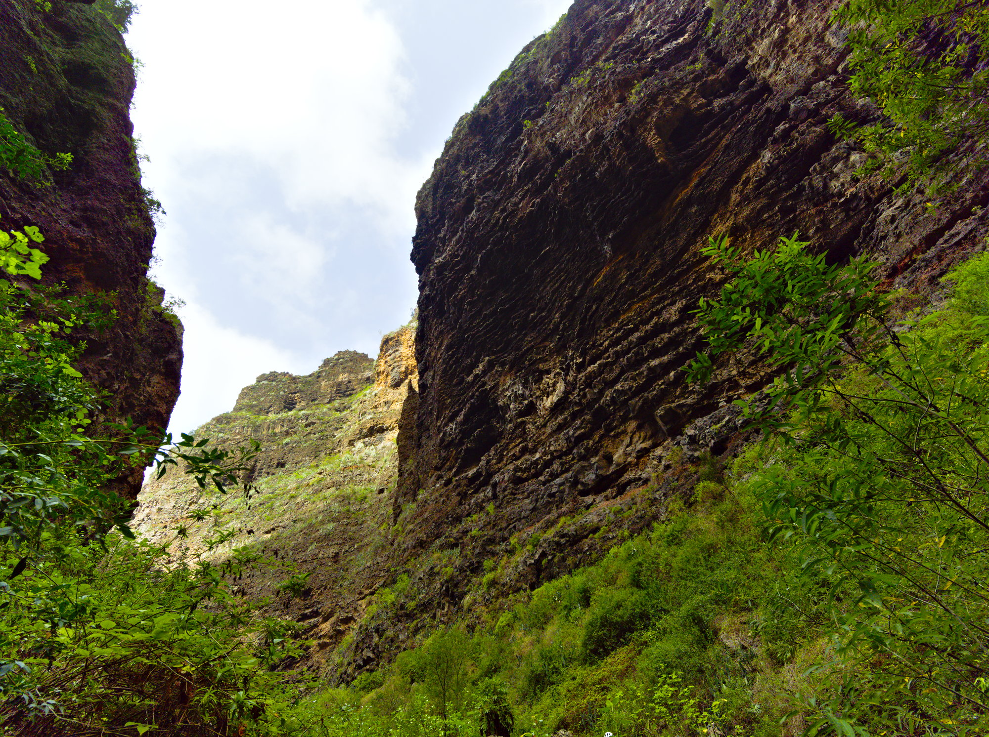 barranco