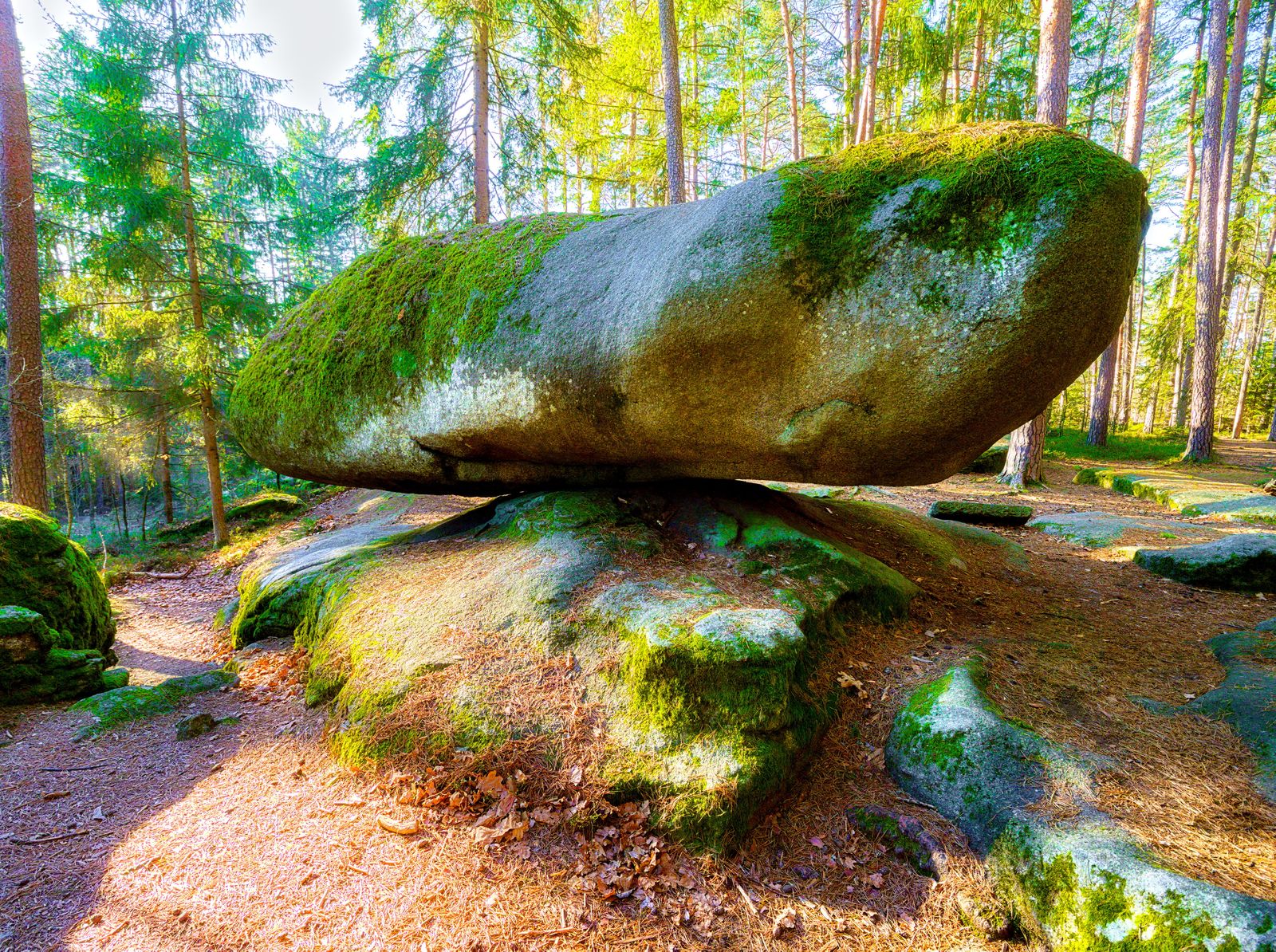 blockheide_wackelstein