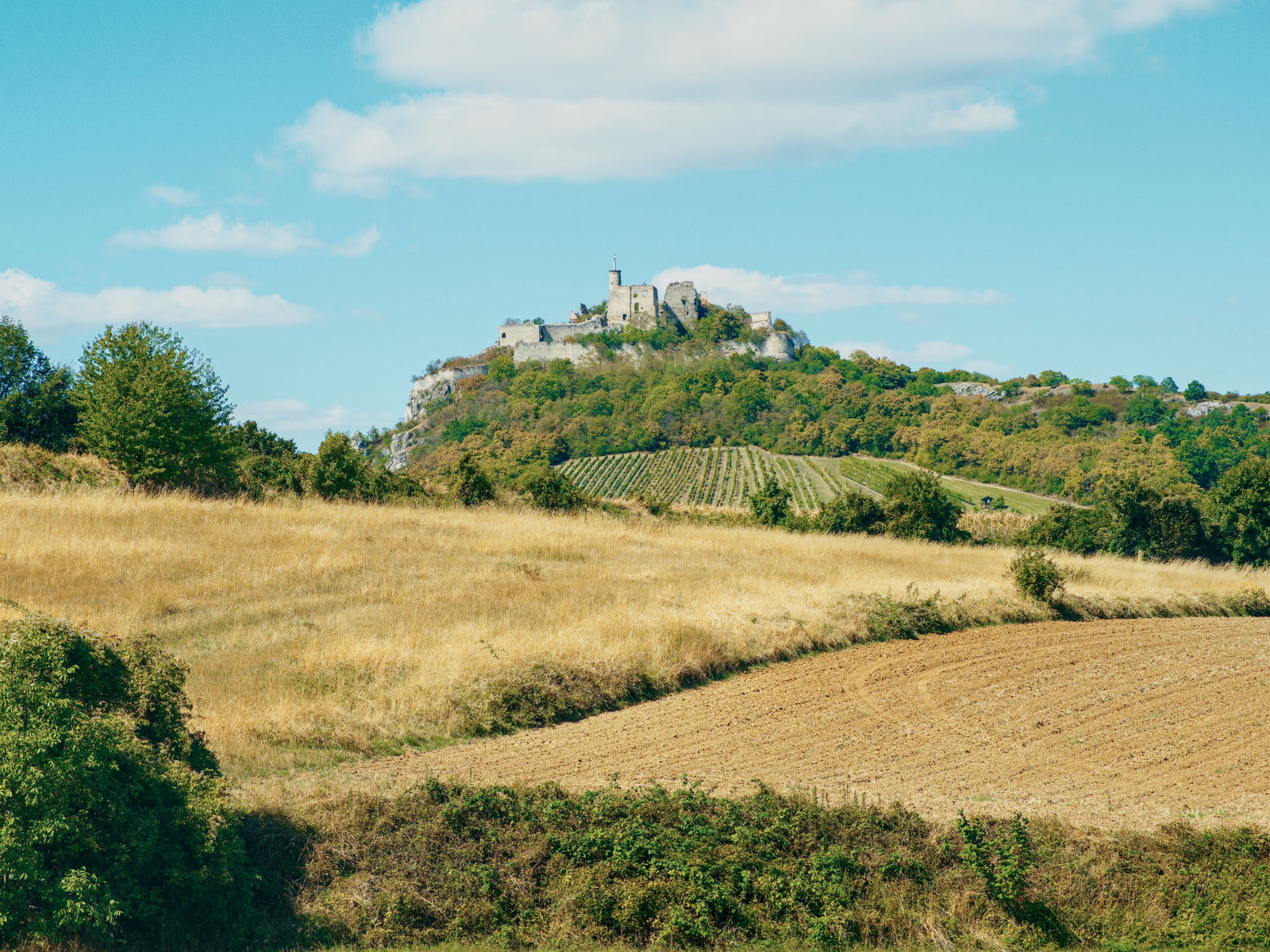 falkenstein