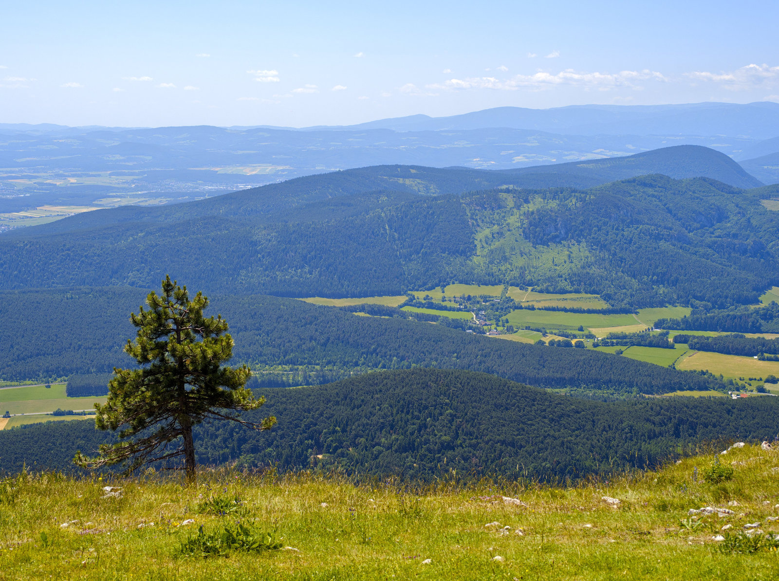 grossekanzel