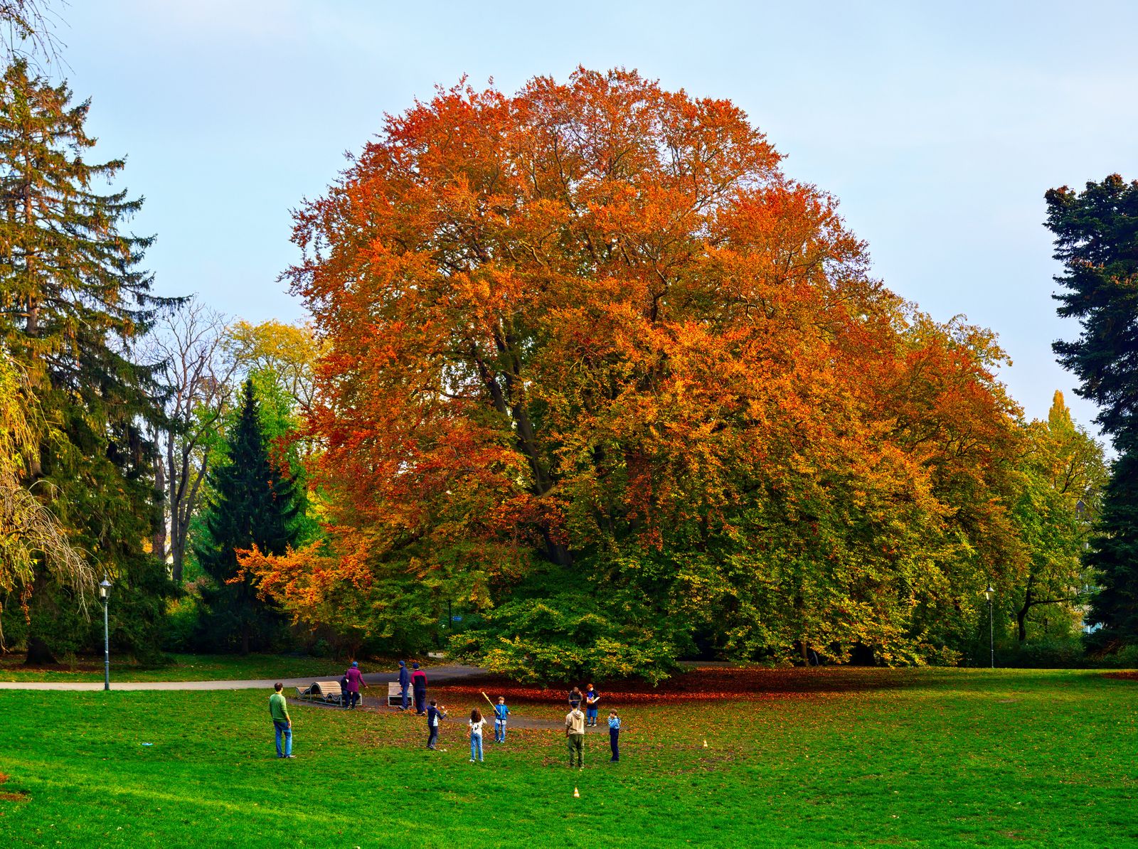 turkenschanzpark