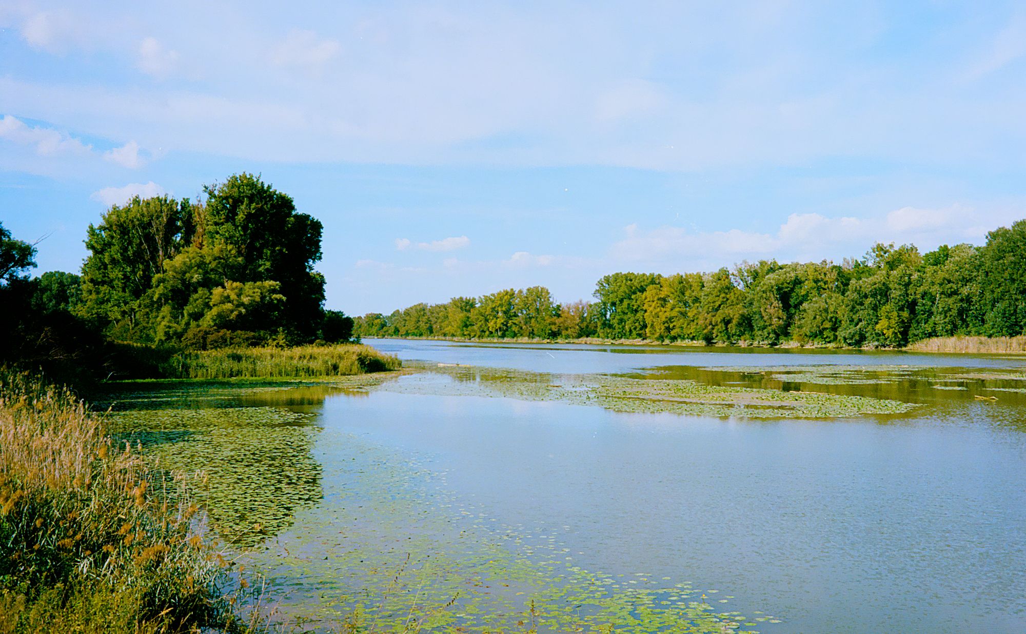 unterelobau2