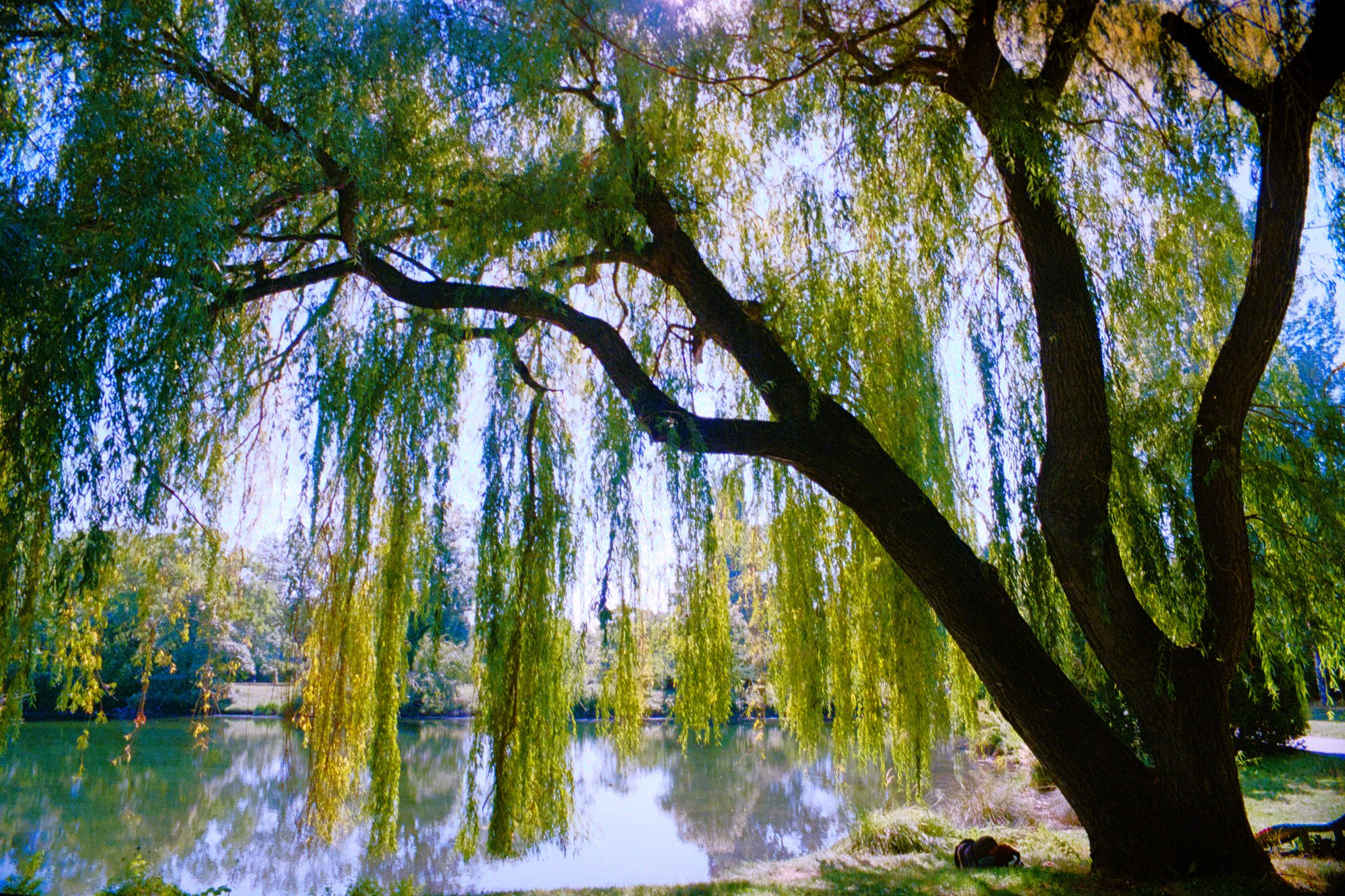 wasserpark